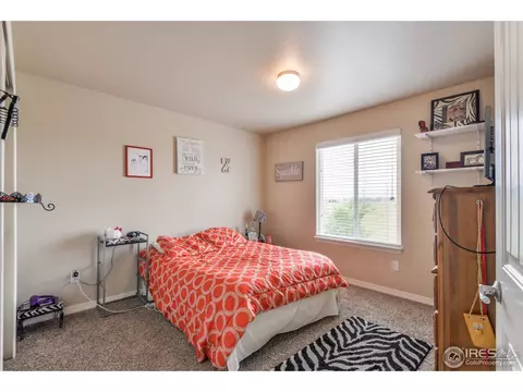 580 Moonglow Dr, Windsor, CO 80550 photo 19