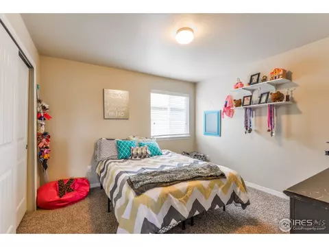 580 Moonglow Dr, Windsor, CO 80550 photo 20