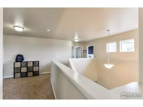 580 Moonglow Dr, Windsor, CO 80550 photo 22