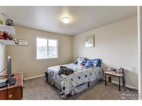 580 Moonglow Dr, Windsor, CO 80550 photo 17