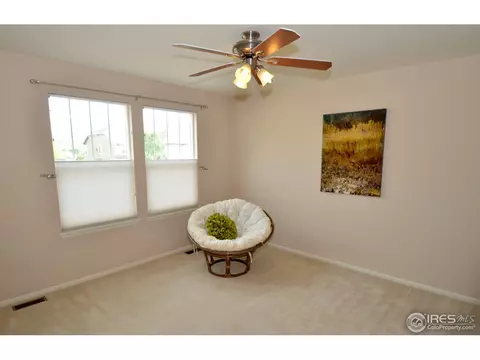 125 Falcon Ln, Lyons, CO 80540 photo 21