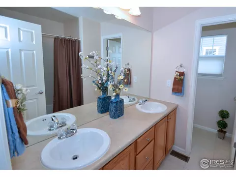125 Falcon Ln, Lyons, CO 80540 photo 24
