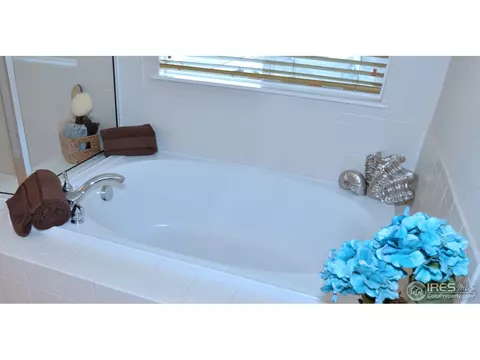 125 Falcon Ln, Lyons, CO 80540 photo 17