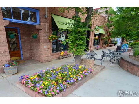 125 Falcon Ln, Lyons, CO 80540 photo 30