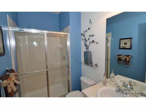 125 Falcon Ln, Lyons, CO 80540 photo 14