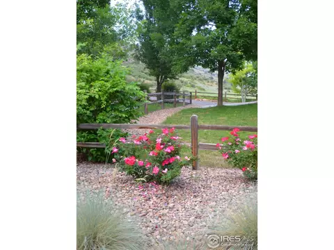 125 Falcon Ln, Lyons, CO 80540 photo 28