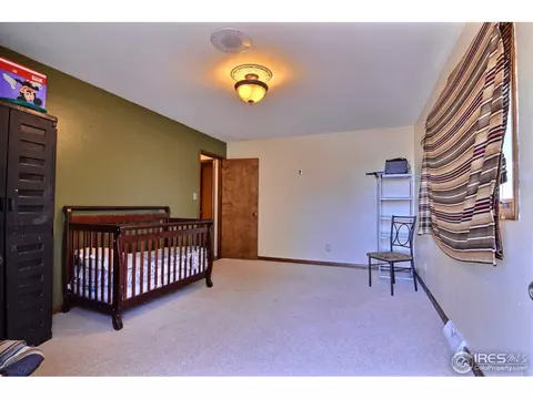 301 High St, Wiggins, CO 80654 photo 18