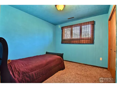 301 High St, Wiggins, CO 80654 photo 21