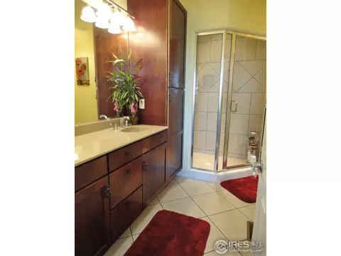 4401 Indigo Dr, Severance, CO 80550 photo 10