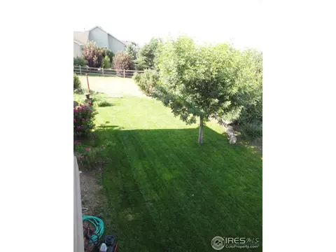 4401 Indigo Dr, Severance, CO 80550 photo 19