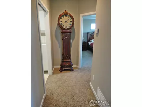 4401 Indigo Dr, Severance, CO 80550 photo 13