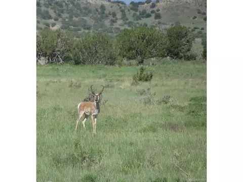 Las Animas Ranch Cr 93.9, Model, CO 81059 photo 6