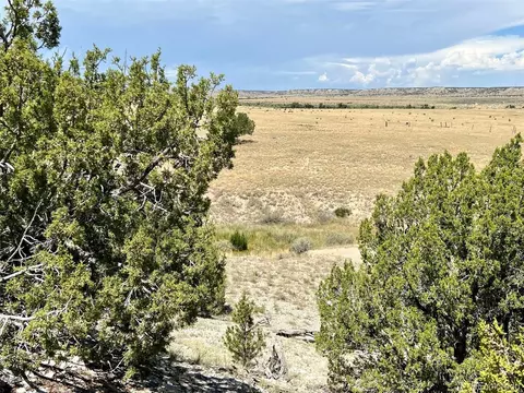Las Animas Ranch Cr 93.9, Model, CO 81059 photo 31