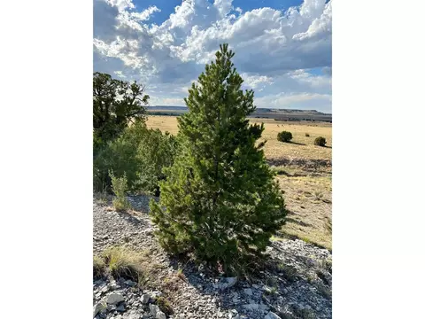 Las Animas Ranch Cr 93.9, Model, CO 81059 photo 40