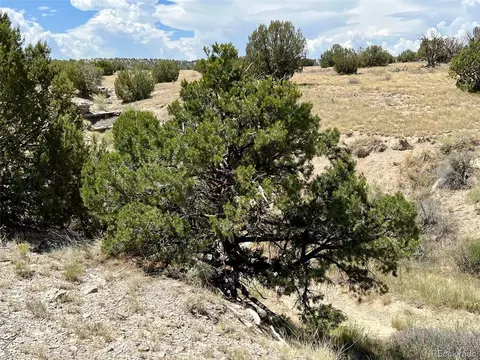 Las Animas Ranch Cr 93.9, Model, CO 81059 photo 27