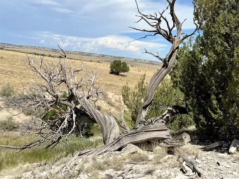 Las Animas Ranch Cr 93.9, Model, CO 81059 photo 29