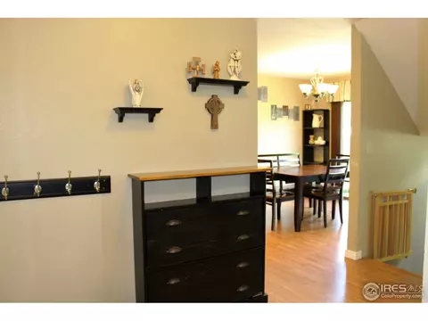 1006 Meadow Ct, Windsor, CO 80550 photo 6
