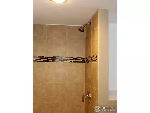 1006 Meadow Ct, Windsor, CO 80550 photo 21