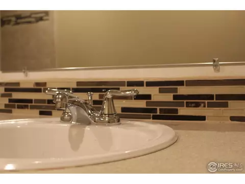 1006 Meadow Ct, Windsor, CO 80550 photo 22