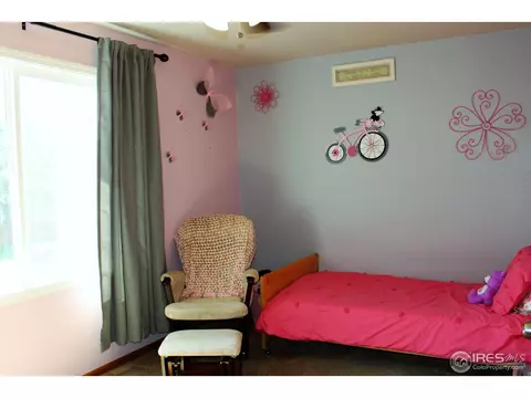1006 Meadow Ct, Windsor, CO 80550 photo 16