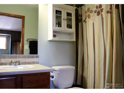 1006 Meadow Ct, Windsor, CO 80550 photo 14