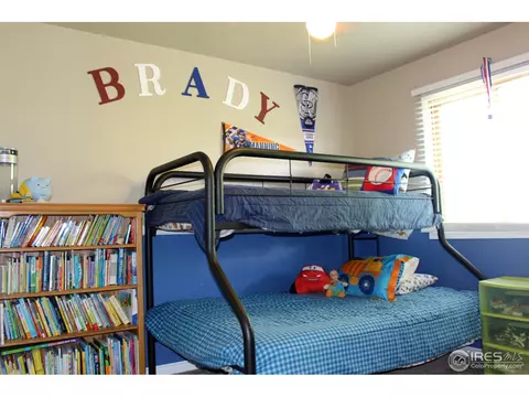 1006 Meadow Ct, Windsor, CO 80550 photo 18
