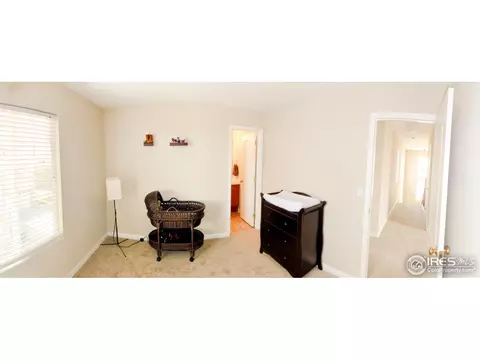 16450 Race St, Thornton, CO 80602 photo 24