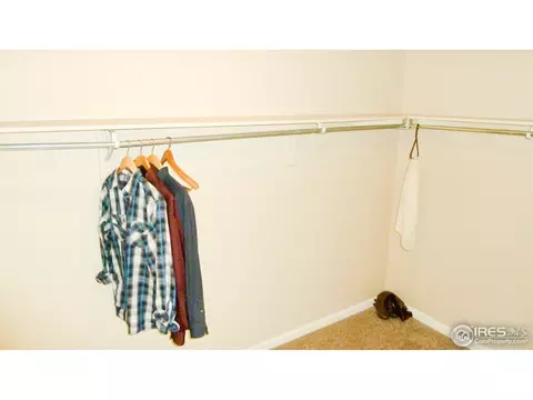 16450 Race St, Thornton, CO 80602 photo 21