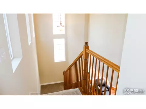 16450 Race St, Thornton, CO 80602 photo 27