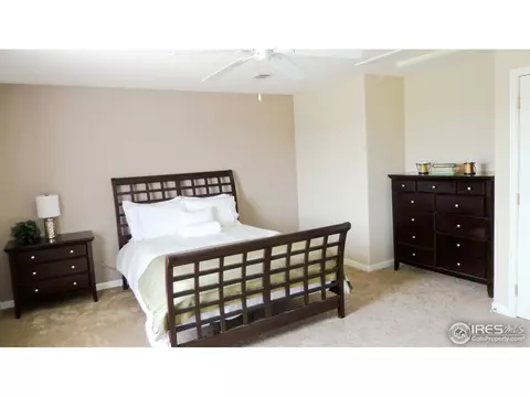 16450 Race St, Thornton, CO 80602 photo 16