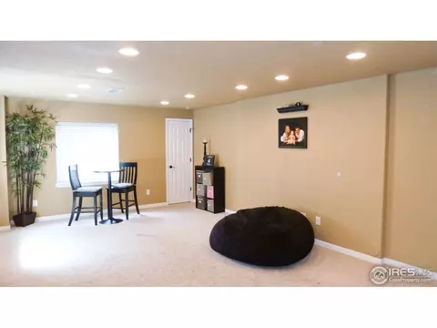 16450 Race St, Thornton, CO 80602 photo 31