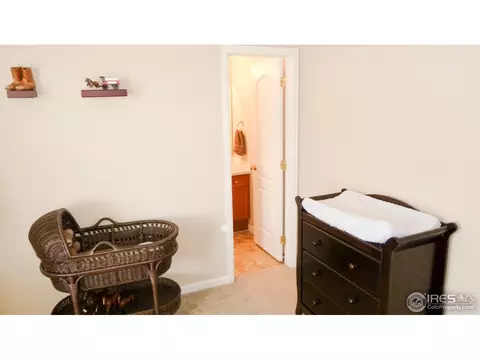 16450 Race St, Thornton, CO 80602 photo 23