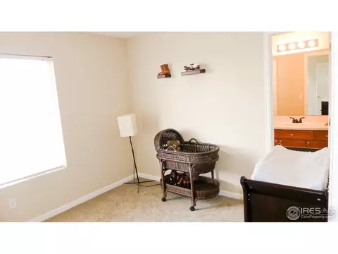 16450 Race St, Thornton, CO 80602 photo 22