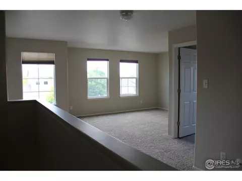 6167 Clayton St, Frederick, CO 80530 photo 11