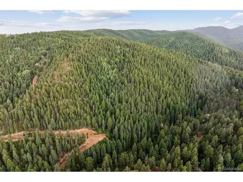Forest Lane, Larkspur, CO 80118