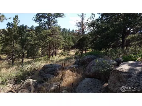 600 Indian Lookout Rd, Lyons, CO 80540 photo 2
