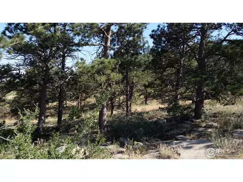 600 Indian Lookout Rd, Lyons, CO 80540 photo 10
