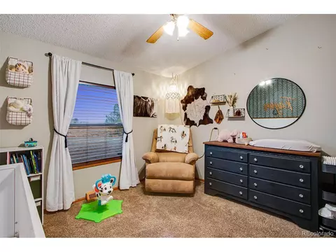 44129 Priddy Ave, Pierce, CO 80650 photo 43