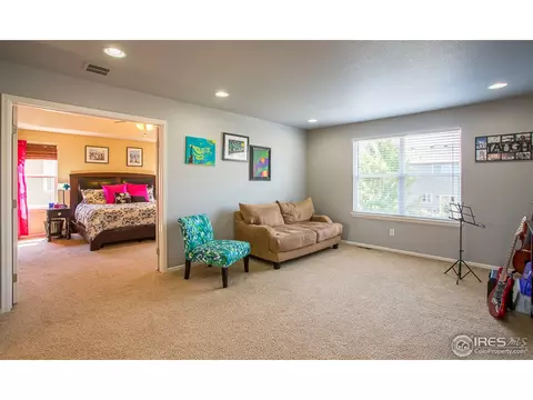 6924 Sunburst Ave, Firestone, CO 80504 photo 13