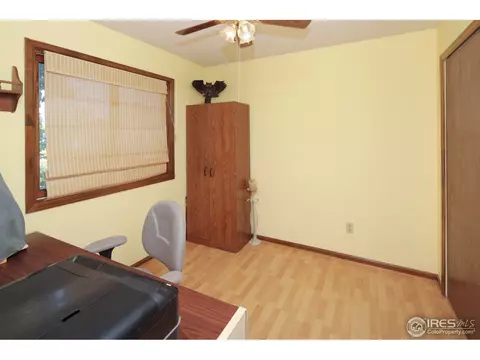 15 Orchid Ct, Windsor, CO 80550 photo 11