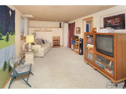 15 Orchid Ct, Windsor, CO 80550 photo 13