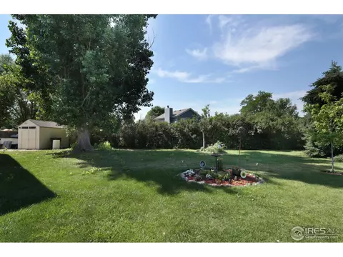 15 Orchid Ct, Windsor, CO 80550 photo 18