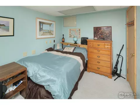 15 Orchid Ct, Windsor, CO 80550 photo 14