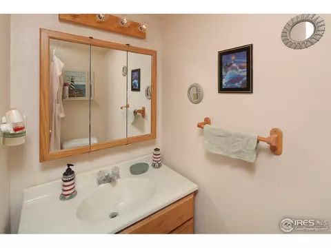 15 Orchid Ct, Windsor, CO 80550 photo 15