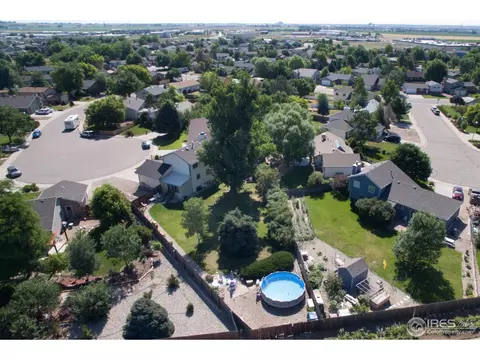 15 Orchid Ct, Windsor, CO 80550 photo 21