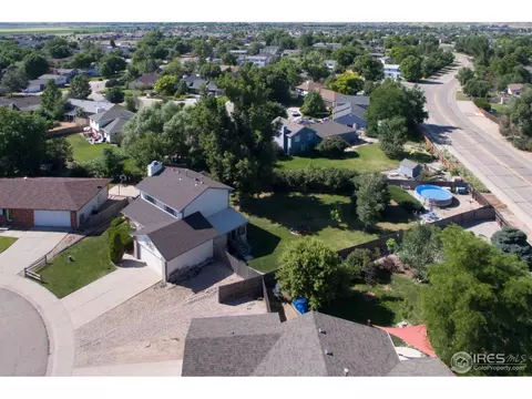 15 Orchid Ct, Windsor, CO 80550 photo 20