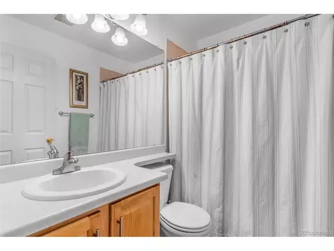 5225 E 116th Pl, Thornton, CO 80233 photo 20