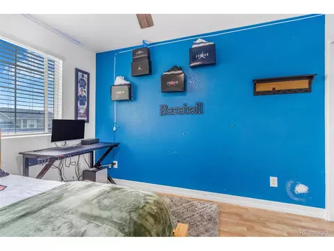 5225 E 116th Pl, Thornton, CO 80233 photo 23