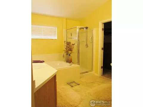 5421 Bobcat Dr, Frederick, CO 80504 photo 11