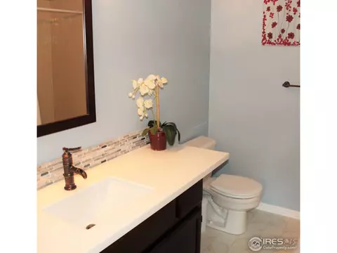 142 Crabapple Dr, Windsor, CO 80550 photo 15